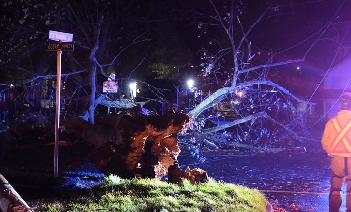 Storm batters Wainfleet and Port Colborne